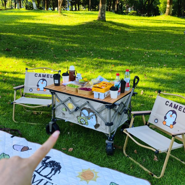 营地车是买完最快翻车的装备：翻了20多条避雷帖和几百条评论——翻车集中在轮子和话术，不在品牌；“10寸轮”实标轮径16cm、承重450斤建议对折看，先按路面配轮，再定50元白牌还是900元铝合金