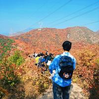中旬的"捡秋"攻略刷屏：带娃出门捡"板栗"、银杏果之前，先把对象、时令、场地三张清单对完