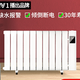 北歌省电取暖器加湿节能电暖器家用注水式暖气片全屋 购买分析