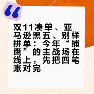 双11凑单、亚马逊黑五、别样拼单：今年“捕鹰”的主战场在线上，先把四笔账对完
