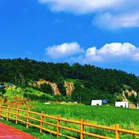 新房急住除甲醛没效果？先排查这三个使用失效原因再下结论