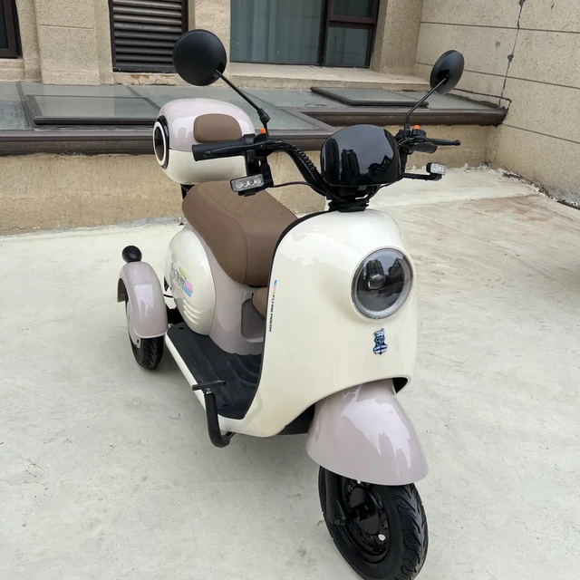 2100元的飞鸽电摩上不了牌，铭牌写着“控可程”：双11前先查这三页