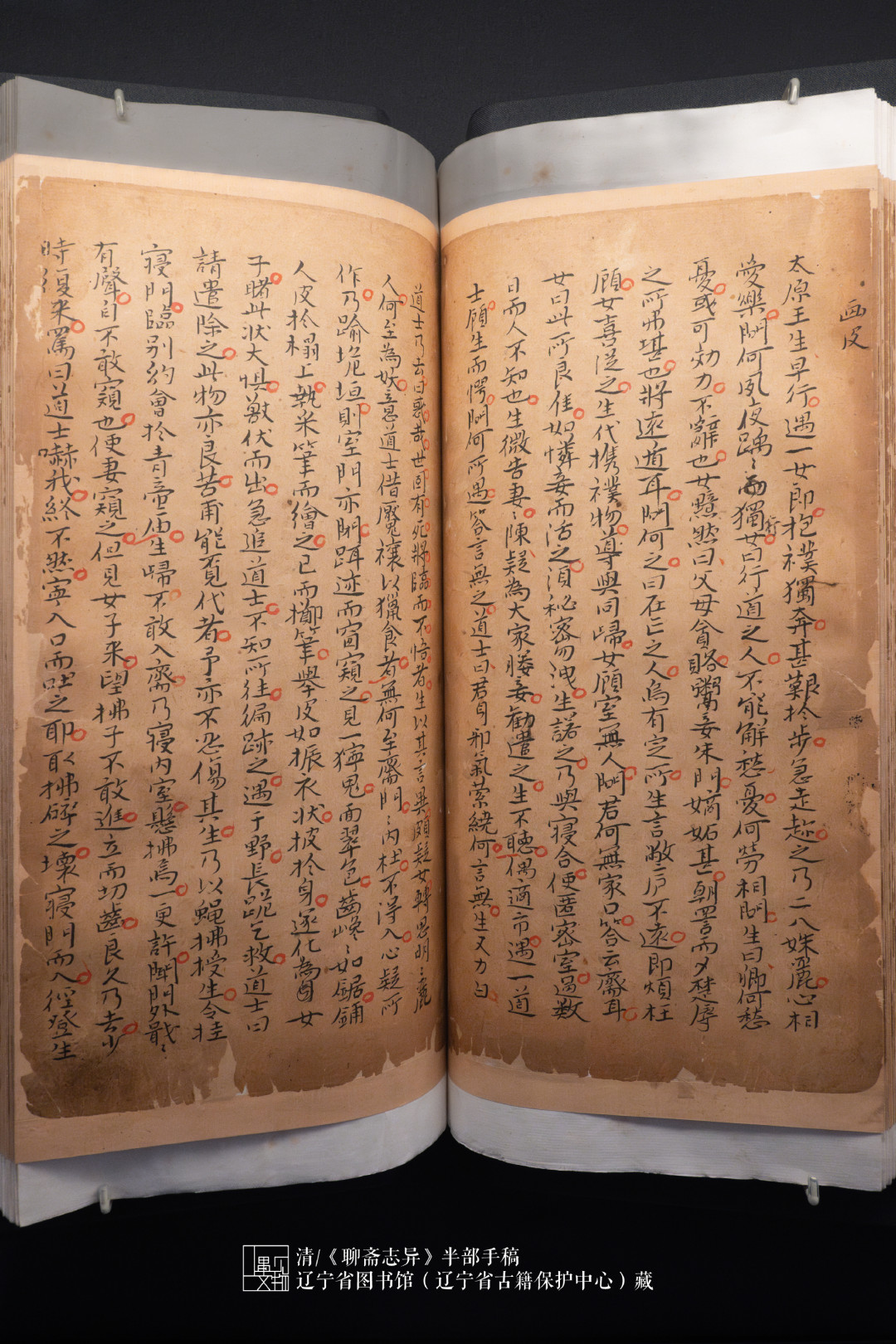 《新聊斋》定档11.15、国博《画皮》手稿今天闭展:回读原著前先看完三盆冷水,6个版本按用途给你排好了