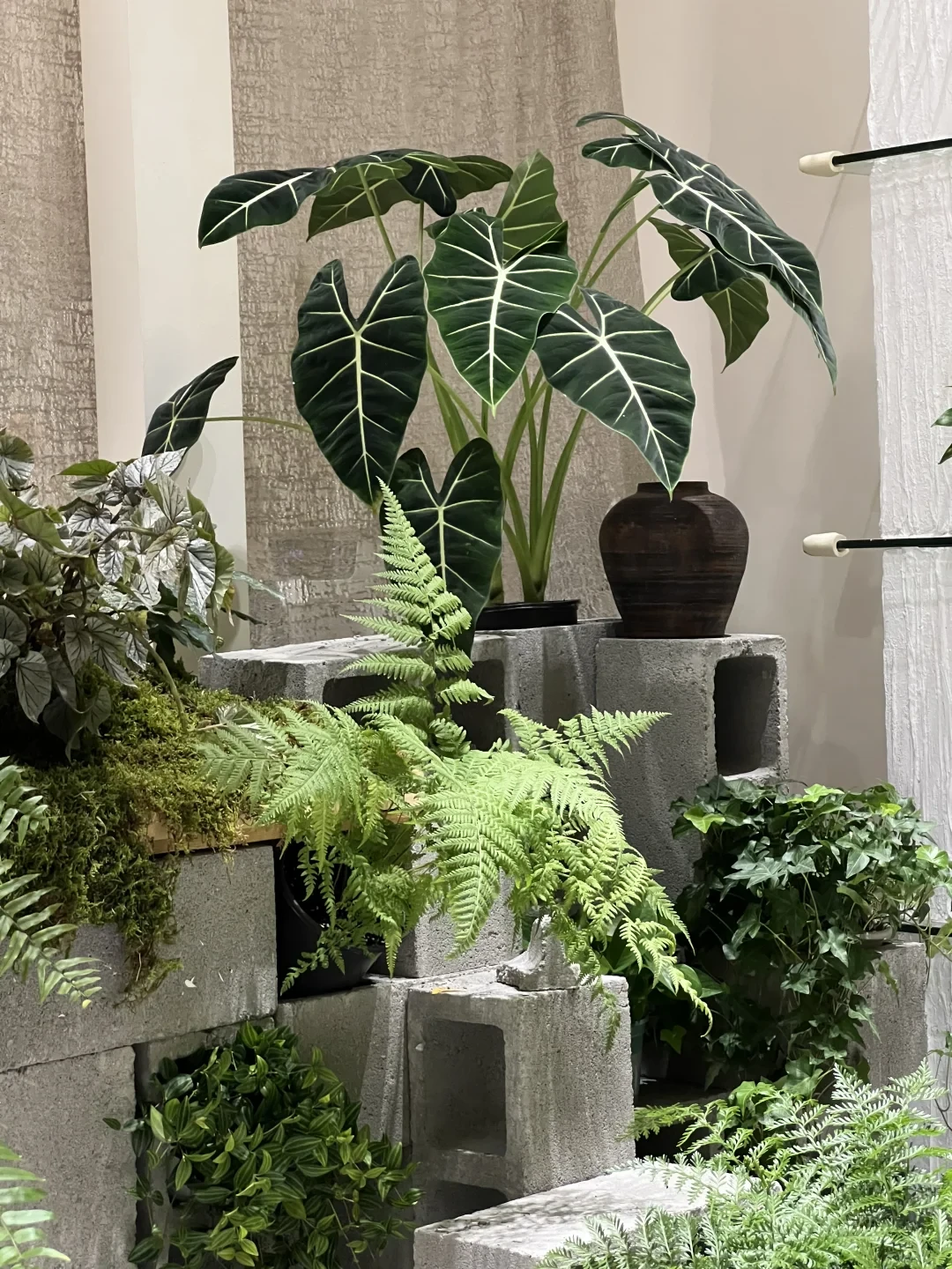 秋冬植物角变黑影,31元到3800元的补光灯,别买错档