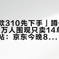 「经典款310先下手」蹲价帖撞上「30万人围观只卖14单」联名遇冷帖:京东今晚8点现货开闸、天猫15号预售、李佳琦17号播卡骆驰——把冬天的洞门预算交给「再等等」之前,先把价梯、渠道、暖棉这三本账对完