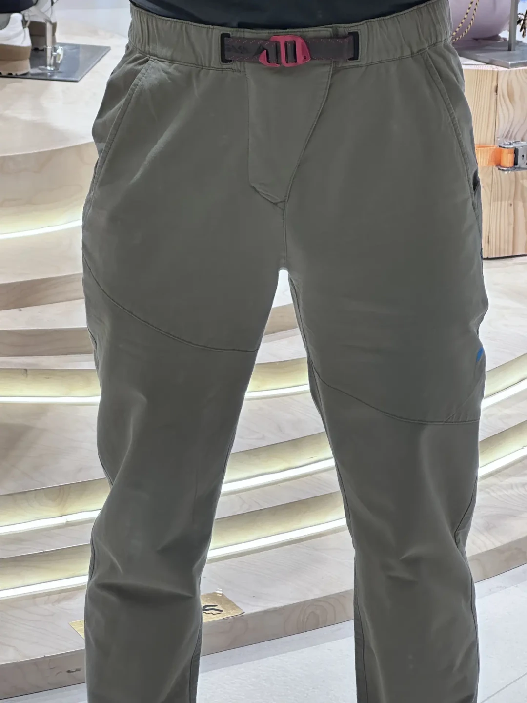 被鼠家软壳的