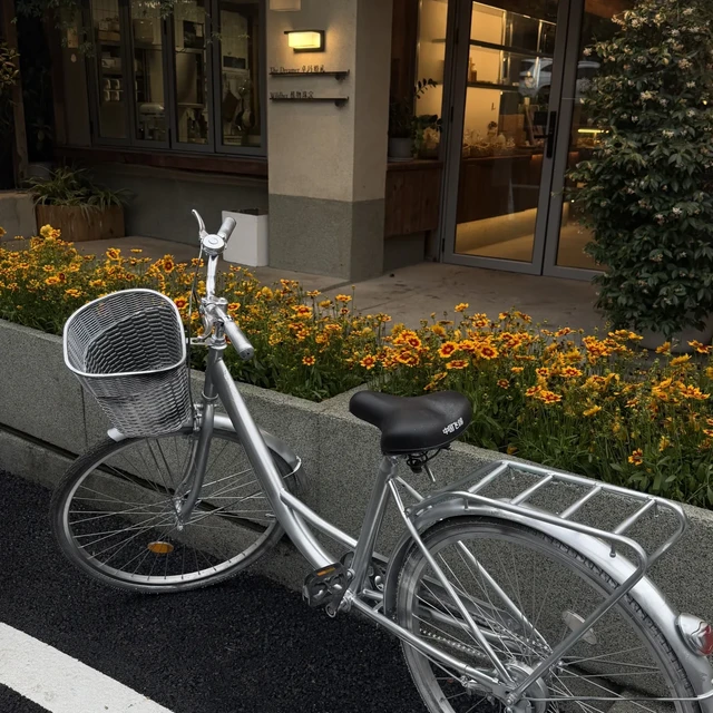 蹬着像走路、停着就生锈：刚收到的飞鸽，先别急着点退货