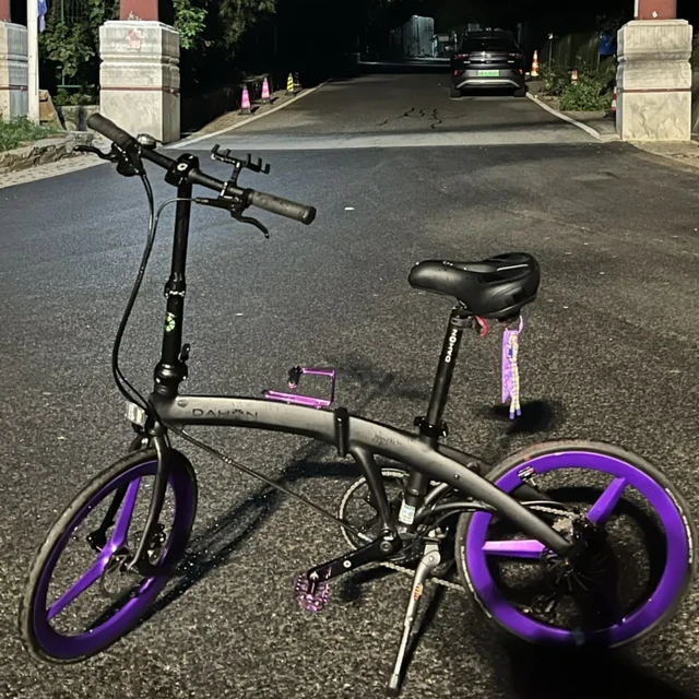 50元卖出个原装坐垫，被大行索赔2万，买家竟是厂家自己：对完20多条二手挂牌、P10改装车挂6600比新车还贵、D10骑200公里卖3300、准新P8骑不到20公里就出、北京深圳求购帖刷屏，我把大行二手车谁真保值、谁改装白花钱、谁现在能捡漏、谁老实等双11排清楚了