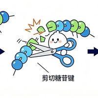 铁皮石斛选哪个品牌?有经验的消费者最看重这2个关键指标