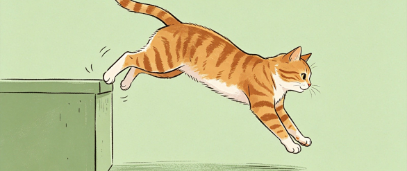 猫从高处掉下来，为什么总能四脚着地？