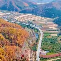 藻油 DHA 怎么选：五款配方与参数整理