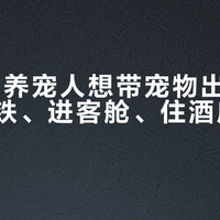 70%的养宠人想带宠物出游:猫狗坐高铁、进客舱、住酒店的攻略