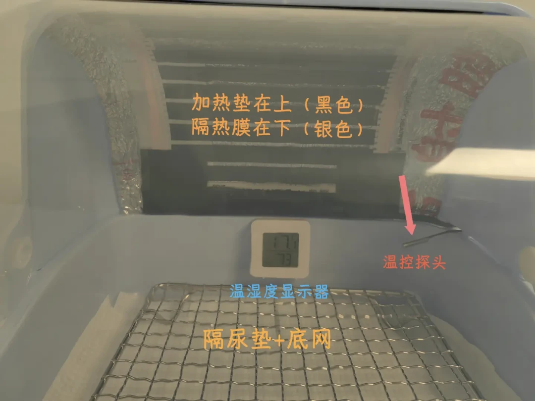 第一波寒潮到了,棉窝恒温箱的推销也到了:我把5起缠线事故、3条起火过热警告和20多条装备自报价排完,温度线、四档账本和三件事别买,一次分清