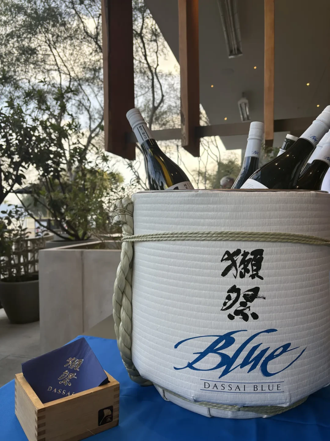几百块的獭祭,别被你自己喝废了