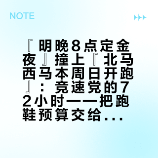 『明晚8点定金夜』撞上『北马西马本周日开跑』：竞速党的72小时——把跑鞋预算交给双11之前，先把底价、磨合、配速这三本账对完