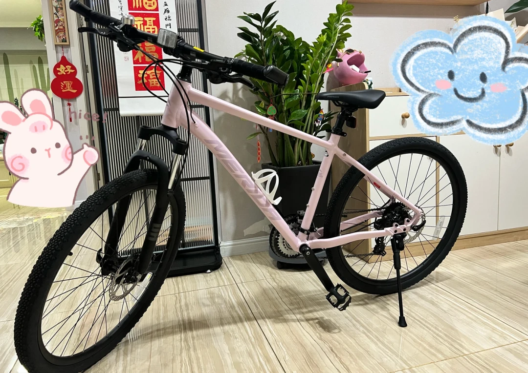 「一万以下别玩软尾」撞上「大牌软尾3998」:新手党的第一个双11——把定金交给
