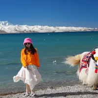明天起西藏免门票：布宫也要约，包车封顶半价，5个月慢慢玩