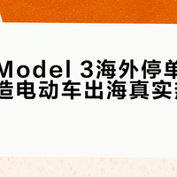 特斯拉Model 3海外停单背后：中国造电动车出海真实热度盘点