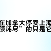 特斯拉在加拿大停卖上海产车型：“配额耗尽”的只是它自己