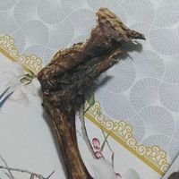 谁懂啊！我家狗子直接锁死这款沐小妖风干大羊腿🐶