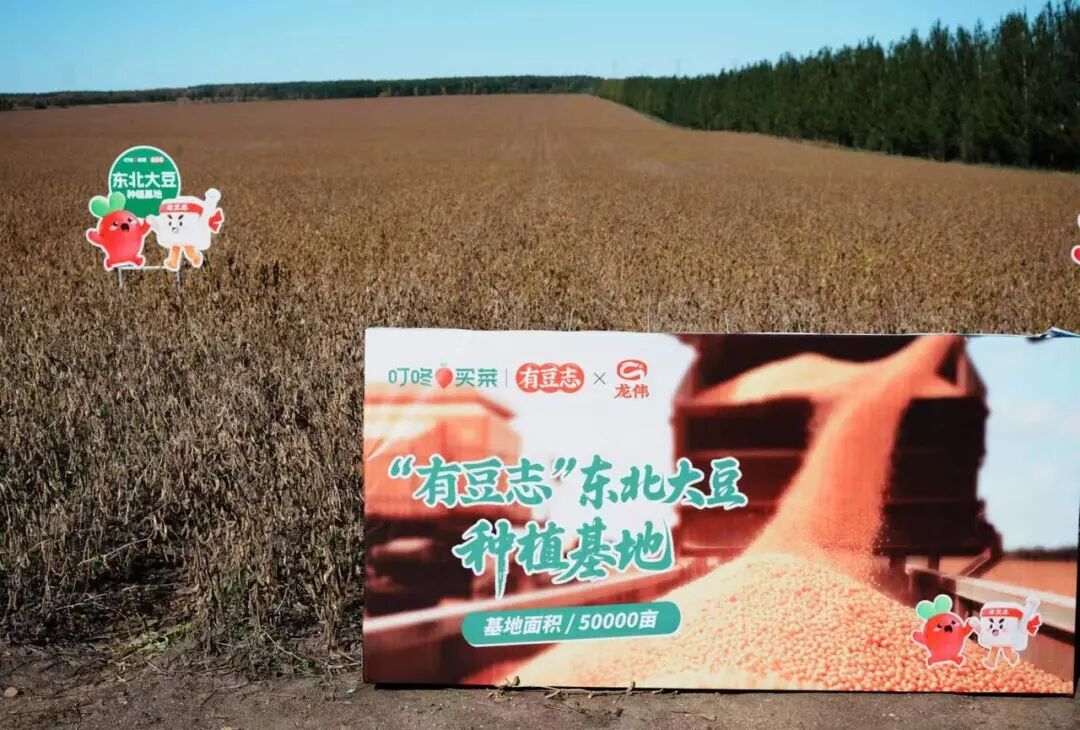 又一款爆品年销2000万!叮咚买菜把“不起眼”的豆腐做成了顶流