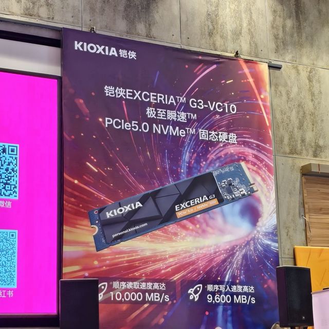 铠侠说"涨够了"，好价陷阱潮才刚开始：双十一买SSD前，先避开这三种"低价"