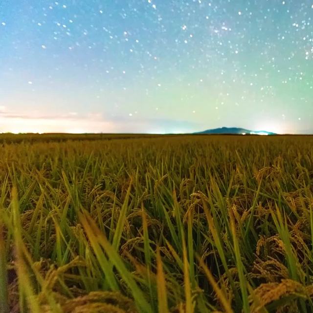 明天想囤的"北大仓大米"，和你家那瓶"北大仓酒"根本不是一家：三个"北大仓"，下单前先把袋子这三行看完