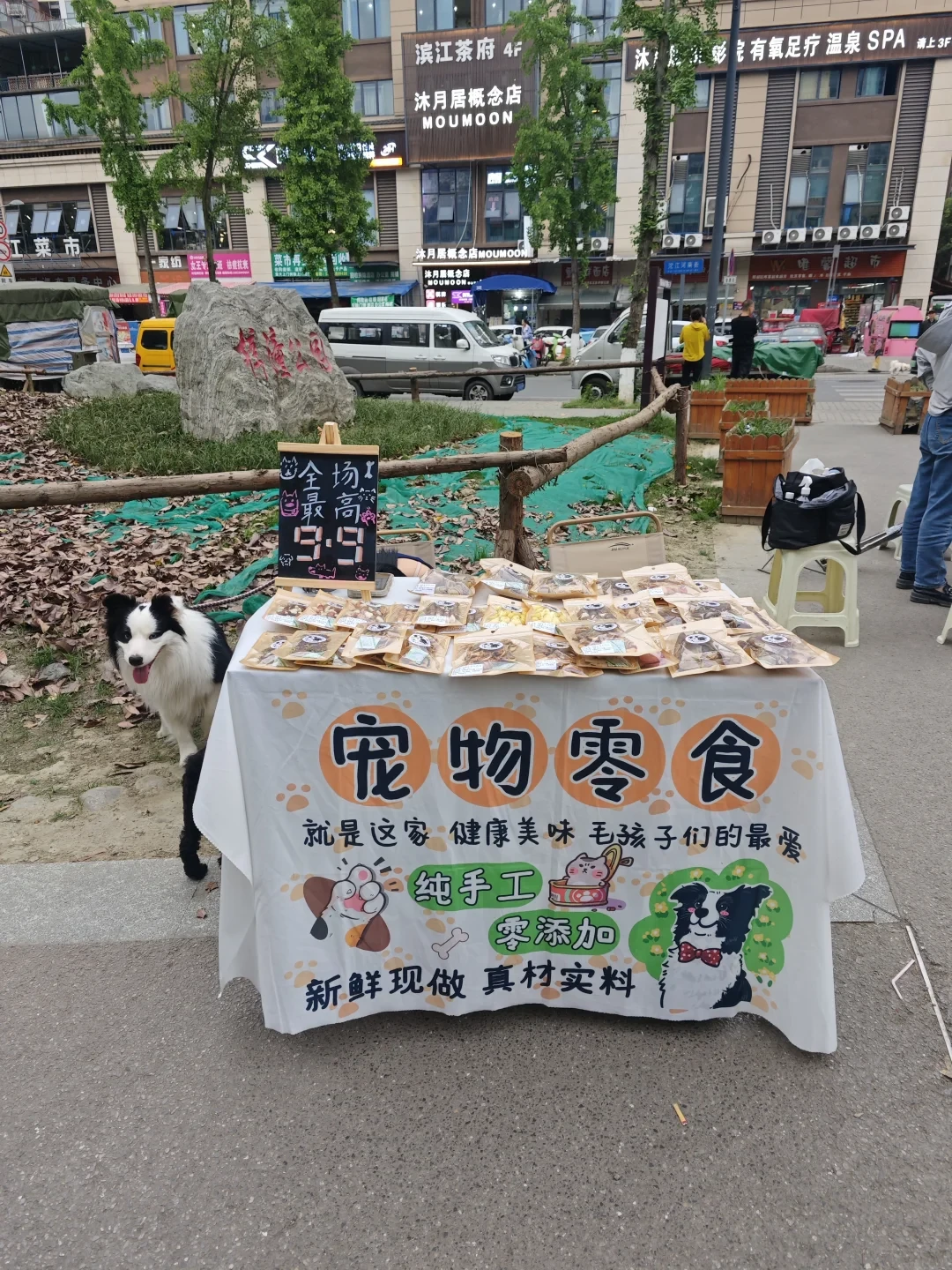 75万人点赞的宠物零食摊:越是