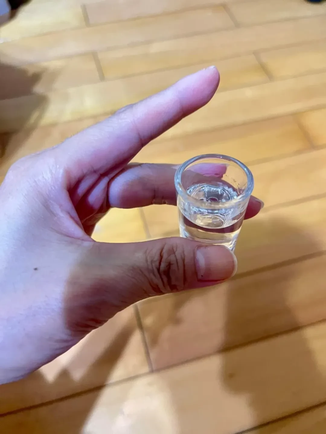 秋糖明天开幕,