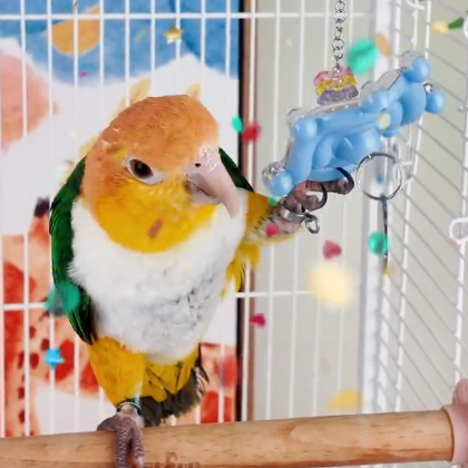 和尚、凯克、小太阳可用，自嗨解闷，可啃咬🦜