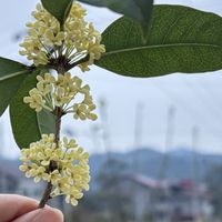 母婴家庭除甲醛常见误区盘点，避开这三个错误才能给宝宝安全居住