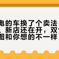 今年闪电的车换了个卖法：京东店关了、新店还在开，双11买闪电的地图和你想的不一样