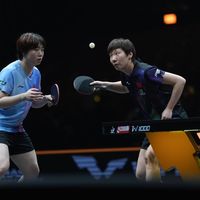 王楚钦战外协顶尖选手胜率惊人？64胜11负背后，还有三件事没说完