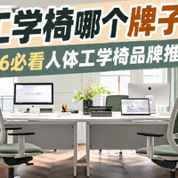 人体工学椅哪个牌子舒服？2026必看人体工学椅品牌推荐清单