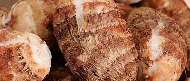 外婆的芋头：苦难中沉淀的甘甜