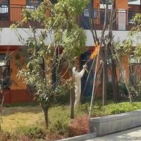 假期过后开学第一天，这所小学却宣布停课