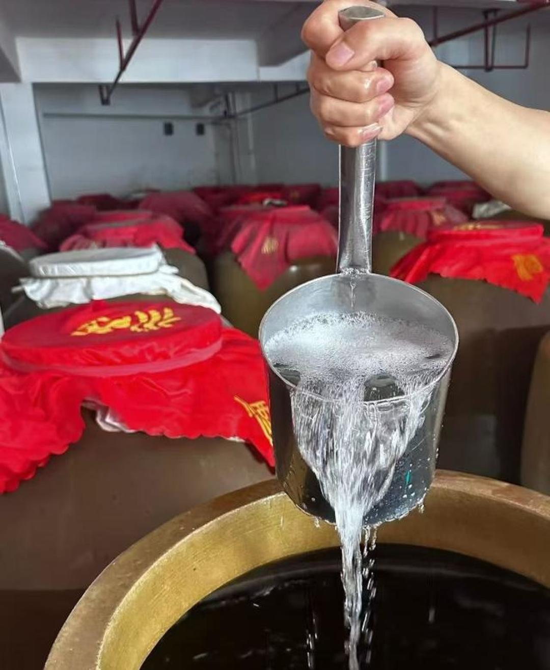 酒窖里的陶坛群