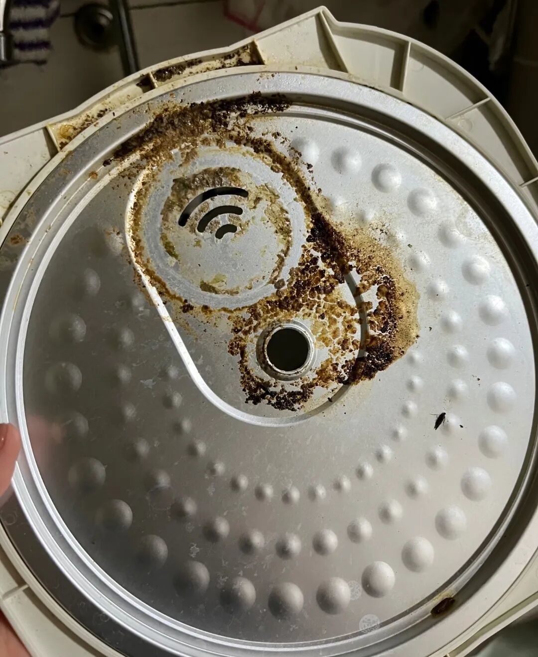 电饭煲盖子发霉?多数不用扔锅,拆开洗净这几处