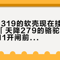 「22年319的软壳现在挂1360」撞上「天降279的骆驼三合一」：双11开闸前夜，换壳党把定金交出去之前，先把价梯、参数、退路这三本账对完