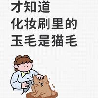 化妆刷标注玉毛或为猫毛 隐晦宣传背后引发伦理与健康争议