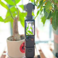 双节卖出34.5万台、Pocket4P跌到3167就能拿下：双11前Pocket五条价线摊开，租、二手还是等，按使用频率对号