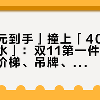 「173元到手」撞上「40件里3件不防水」：双11第一件冲锋衣党，把价梯、吊牌、合身这三本账对完再交定金