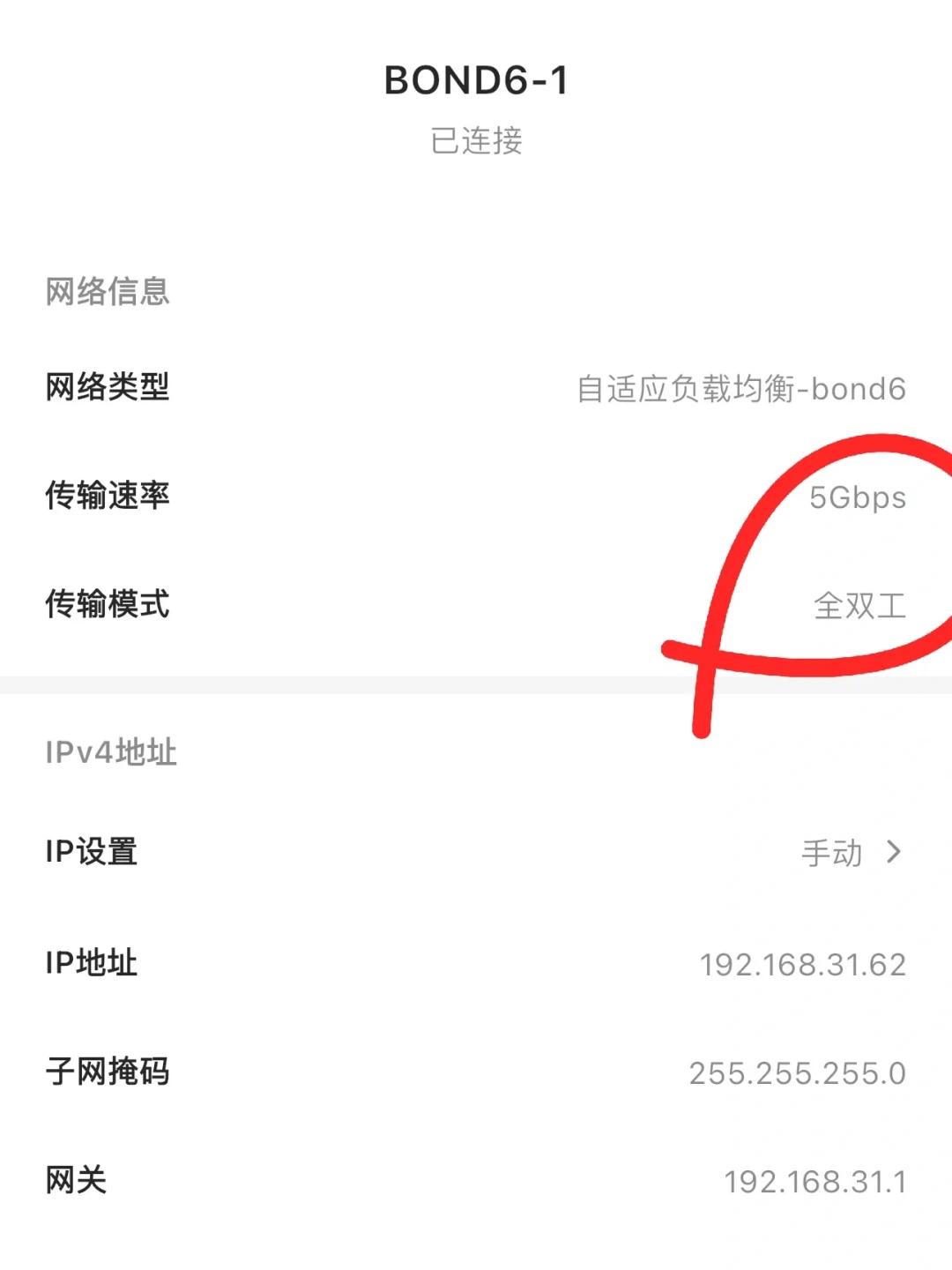 双十一买的NAS只跑110MB/s?瓶颈可能是你家交换机