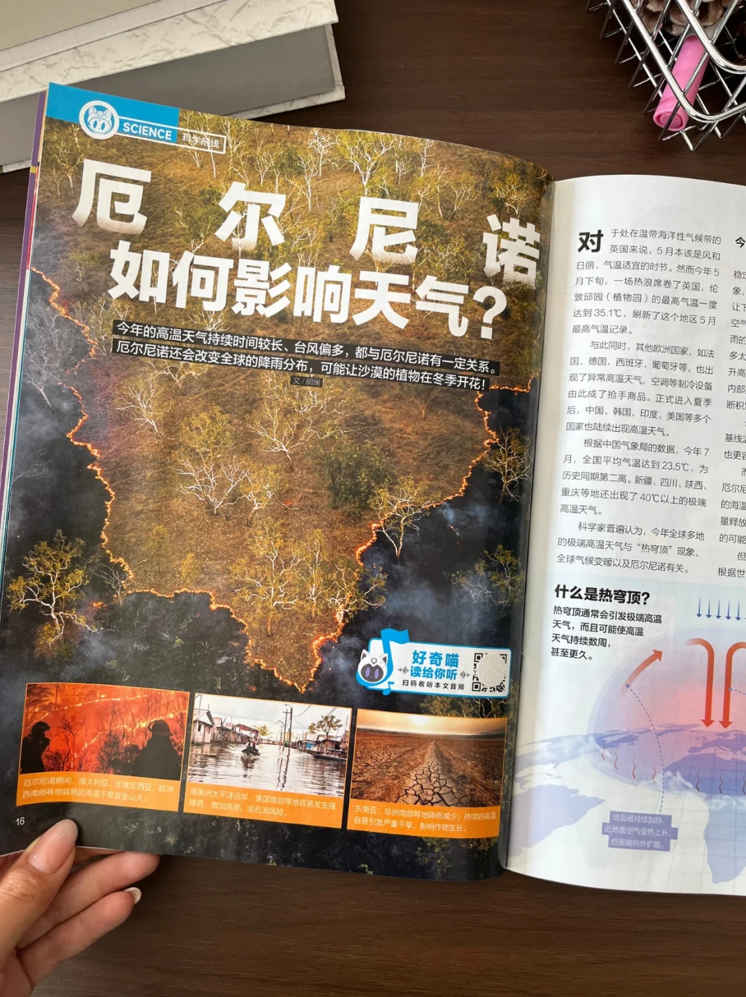双十一好奇号不难订,难的是读完:这36本的分工,是三年老订阅户教的