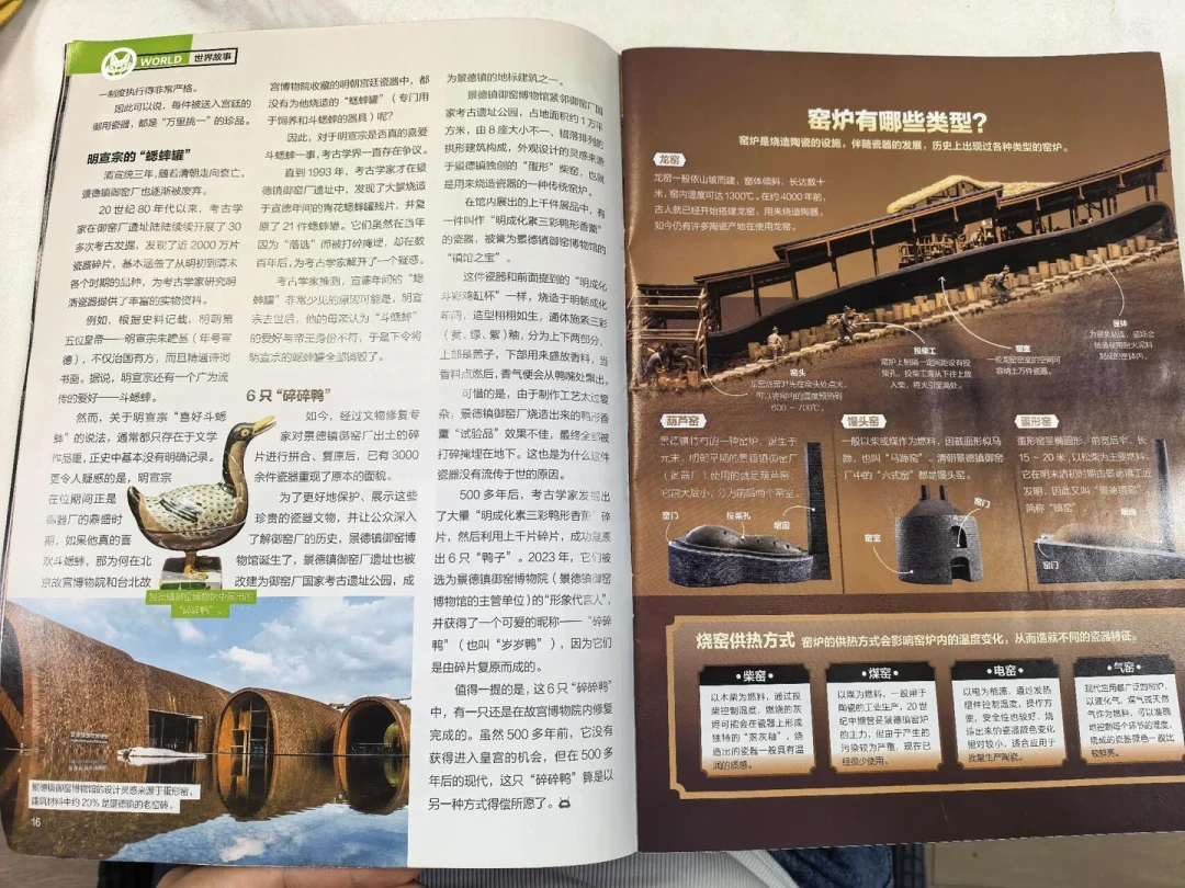 双十一好奇号不难订,难的是读完:这36本的分工,是三年老订阅户教的