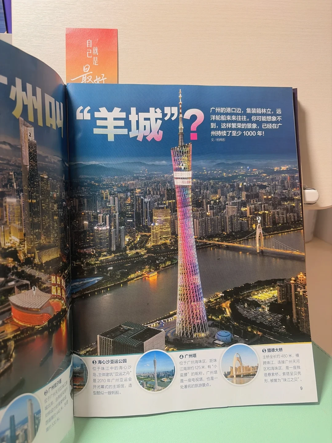 双十一好奇号不难订,难的是读完:这36本的分工,是三年老订阅户教的