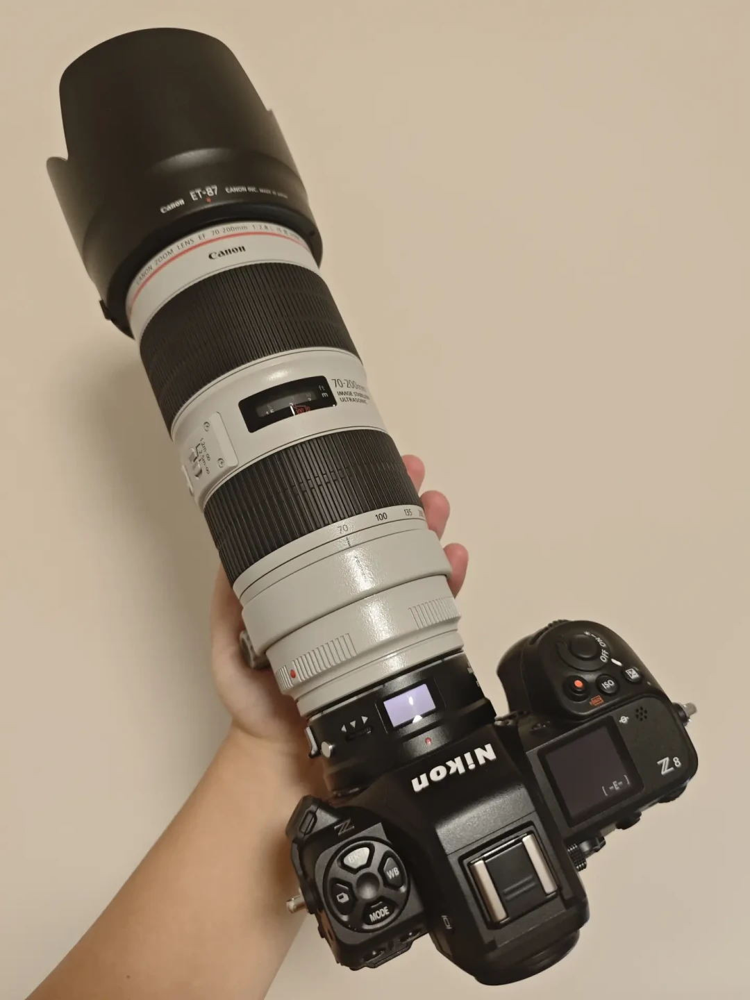 「EF 50/1.2L 箱说全跌到 3000」撞上「转接上 Z8 当场祛魅」:双11 定金夜,转接捡漏党把价梯、环、验货这三本账对完再交钱