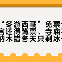 第九轮“冬游西藏”免票今日开闸:布宫还得蹲票、寺庙不在免单里、纳木错冬天只剩冰——自驾进藏前,先把免票的三条边界分清