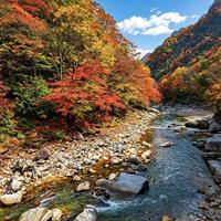 「红叶还能撑一周」撞上「周五夜下周六白天雨」：这周末进山前，先把叶、风、退路三本账对完