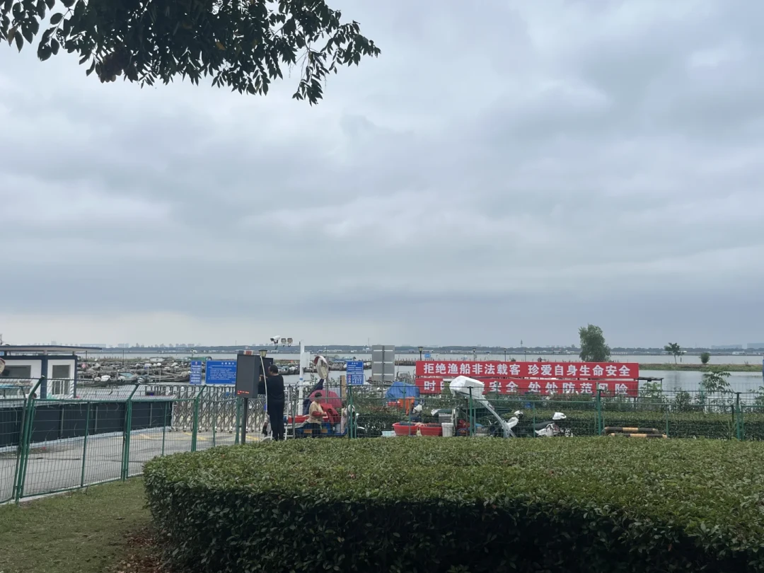 「蟹卡100%兑换赔到十万」撞上「提货显示未激活」:蟹卡党双11兑蟹前夜,把卡源、窗口、维权三本账对完再决定要不要再买一张